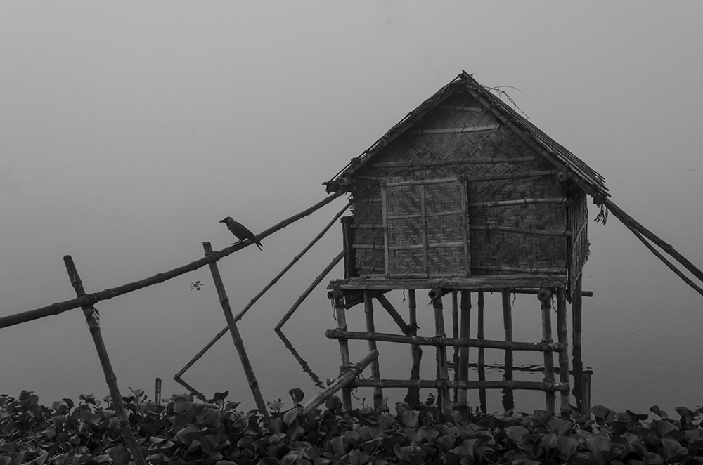 Fish Harvesting - Photo Series By Indian Photographer Ritesh Roy Chowdhury